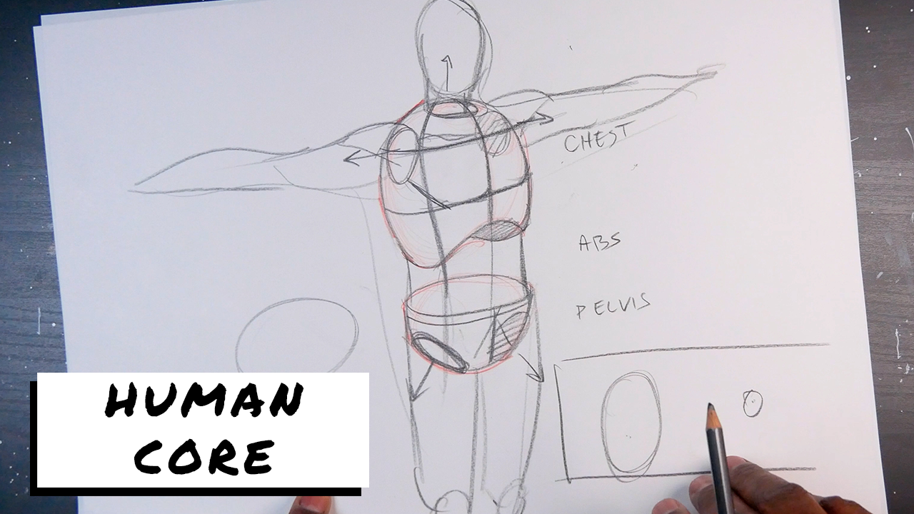 The Figure in Action: Anatomy for Artists [Book]