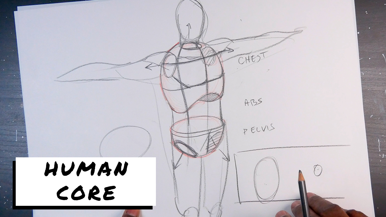 Proko - Figure Drawing Fundamentals