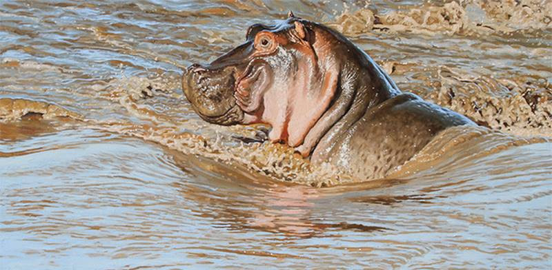 aaron blaise hippo
