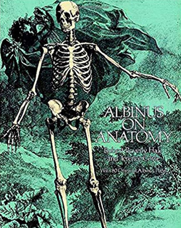 albinus on anatomy