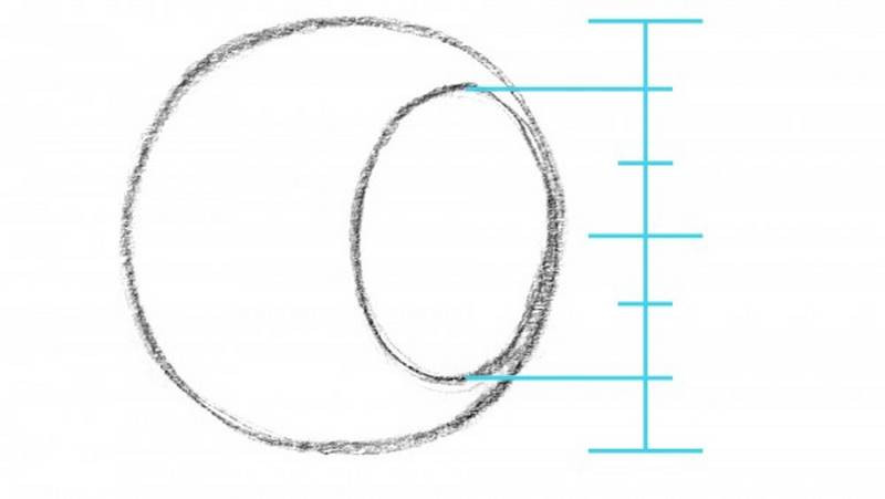 angle of the head circle measurements