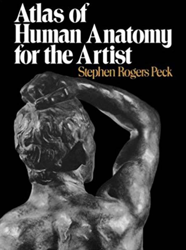 atlas of human anatomy for the artist