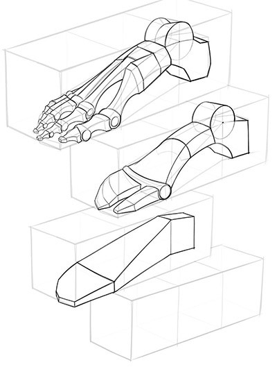 drawing a simplified foot in a box