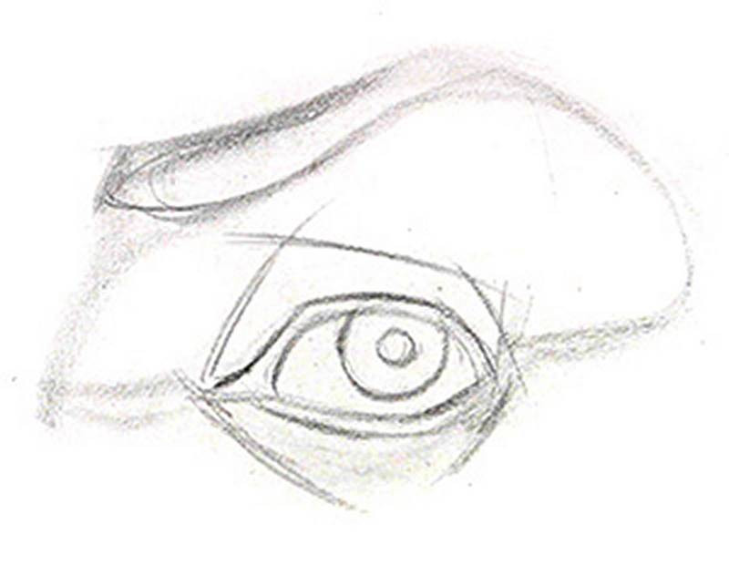 drawing the eye layin