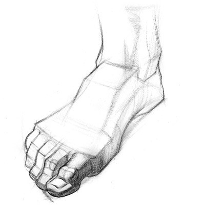 using joints to help draw the foot