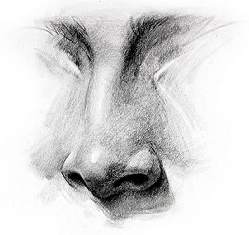 How I sketch nose 👃 | Gallery posted by Chelsea Miller | Lemon8