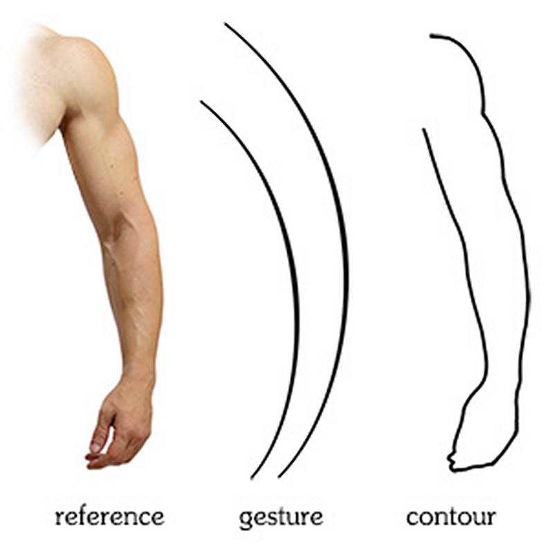 gesture vs contour