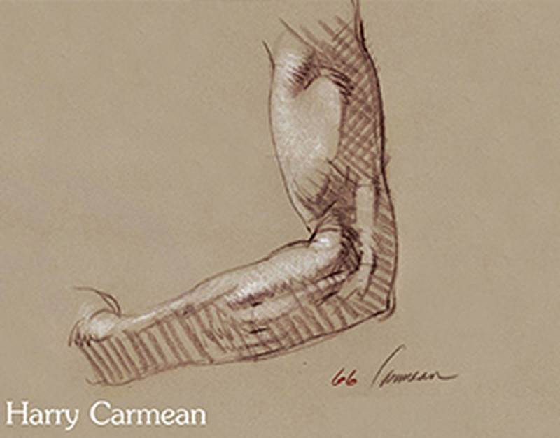 harry carmean anatomy sketch designed incomplete shadows