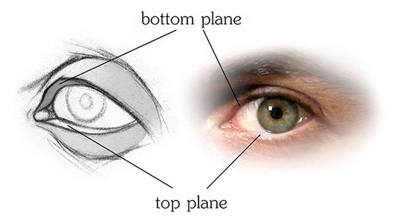 how to draw eyes planes