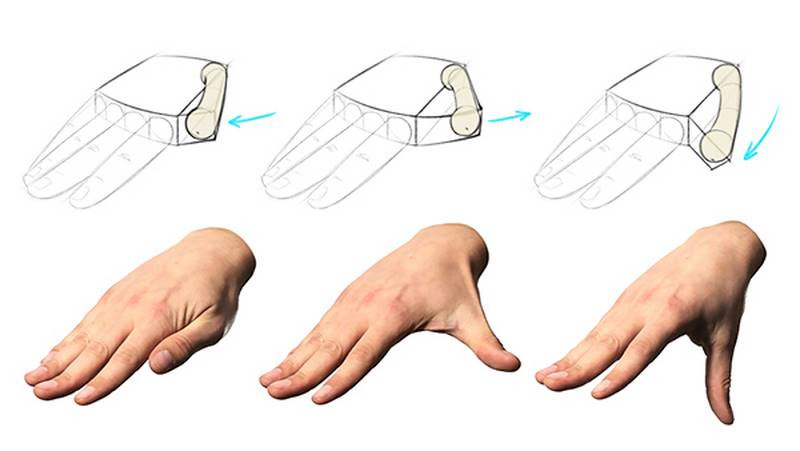 how to draw hands thumb bone movement