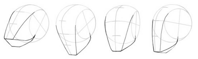 how to draw the jaw