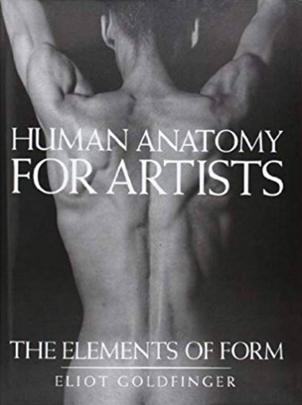 human anatomy for artists