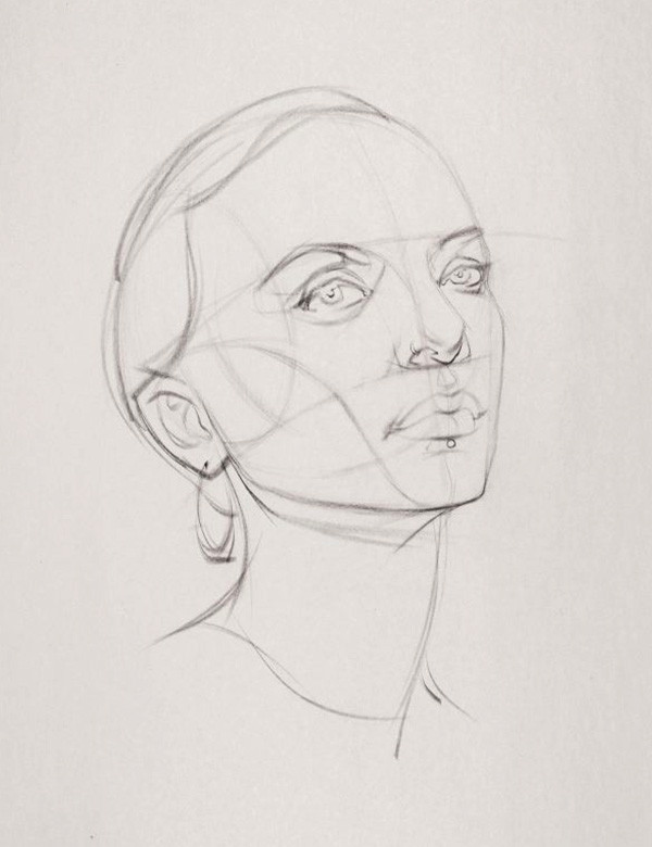 portrait drawing basics