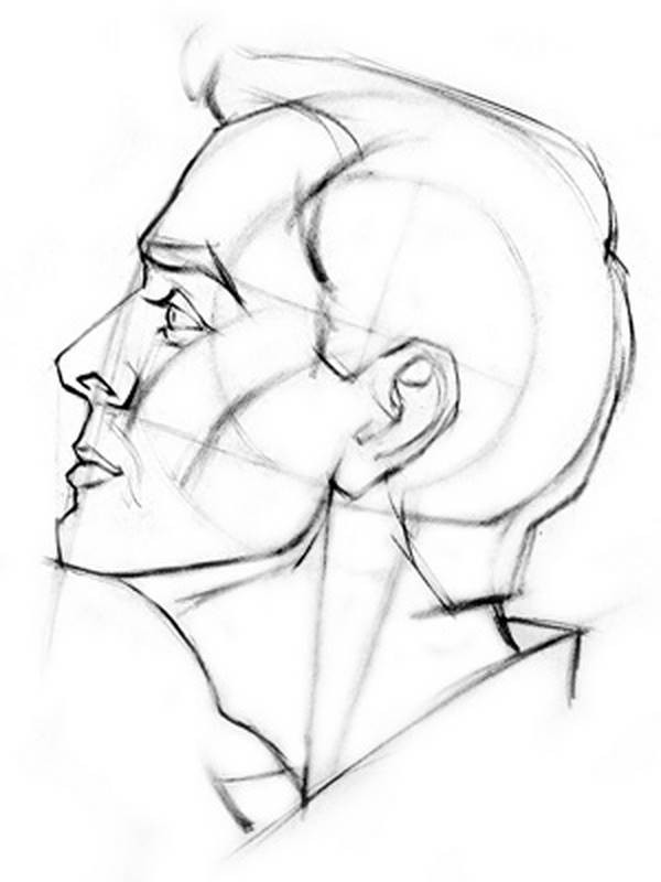 Head Side View Drawing