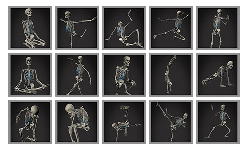 Cute Poses Skeleton Vector Images (over 190)