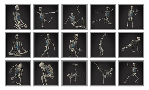 Proko - Skelly - Poseable Anatomy Model for Artists