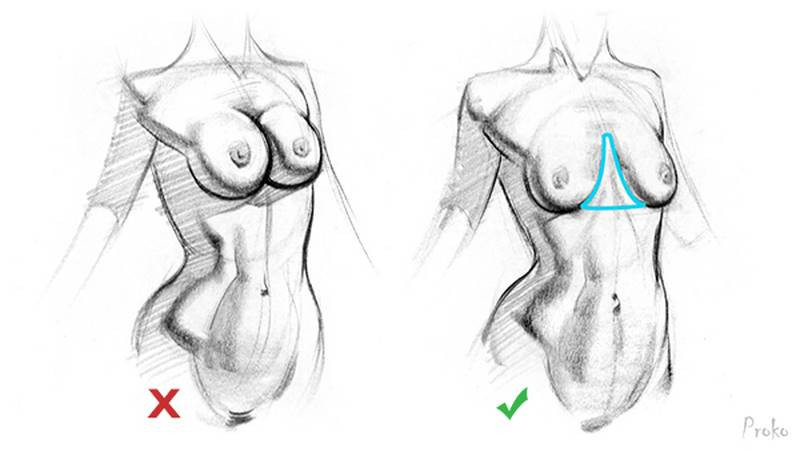 Common Mistakes of Drawing Breasts 