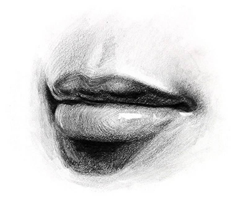 Learning Anatomy Of The Lips Pencil Sketch Following vrogue.co