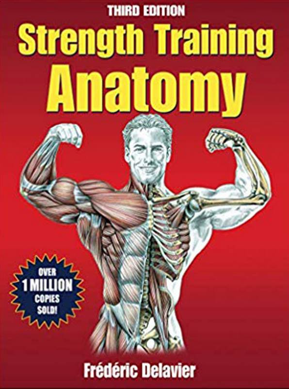 strength training anatomy