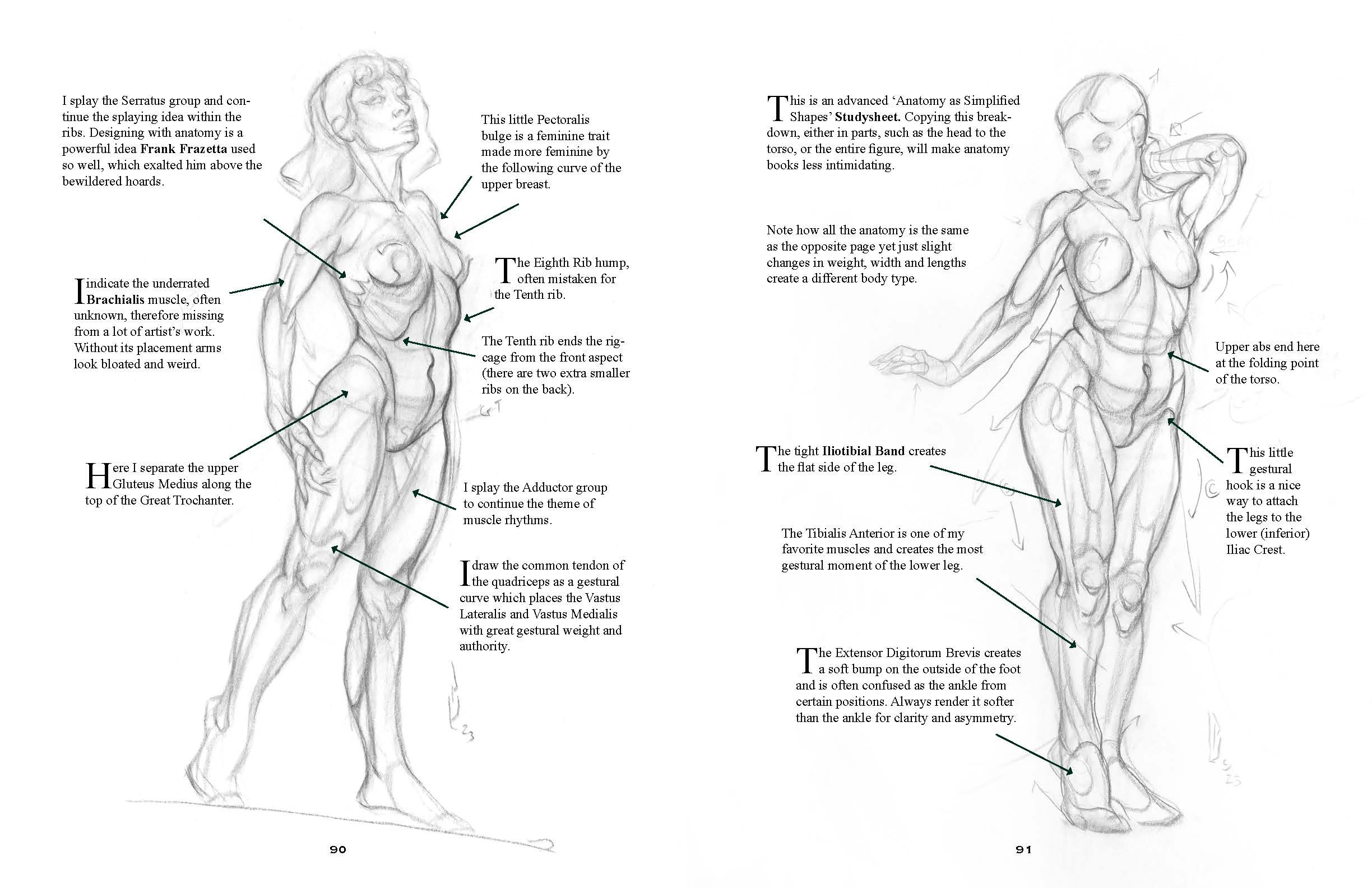 How To Draw - Anatomy and Figure Drawing - Ultimate Course