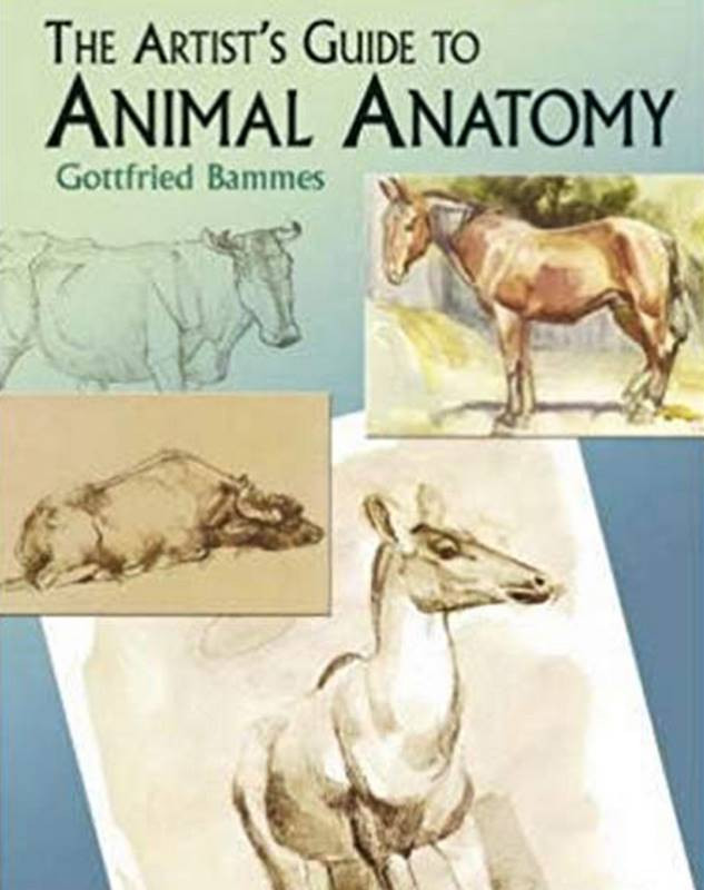 the artists guide to animal anatomy