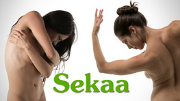 Poses for Artists - Sekaa
