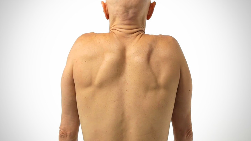 Proko - Shoulders