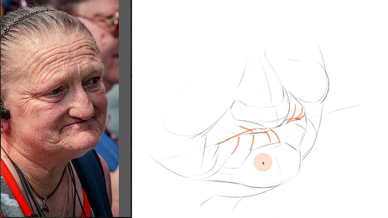 Proko - Mouth - Practice