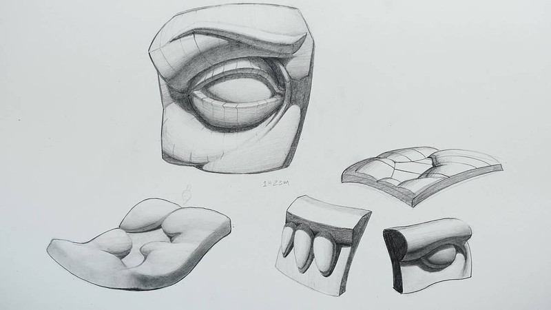 Proko Organic Forms Details