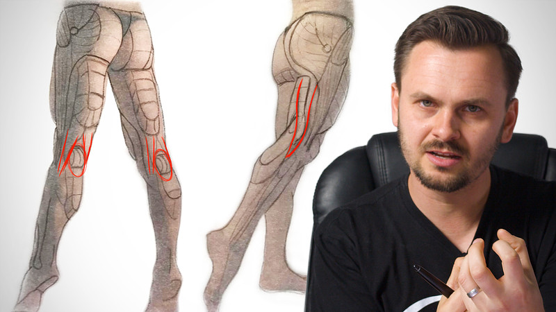 Proko - Anatomy Critiques – Hamstrings