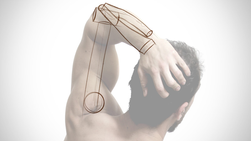 Proko - Arm Bones Assignment Example 6