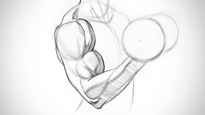 Proko - Biceps Assignment Example 3