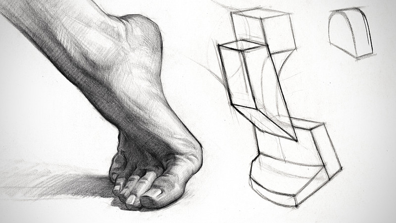 Proko - Constructing and Shading the Foot - Anatomy Assignment