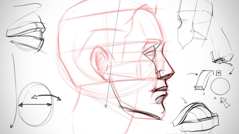 Proko Critique Facial Features