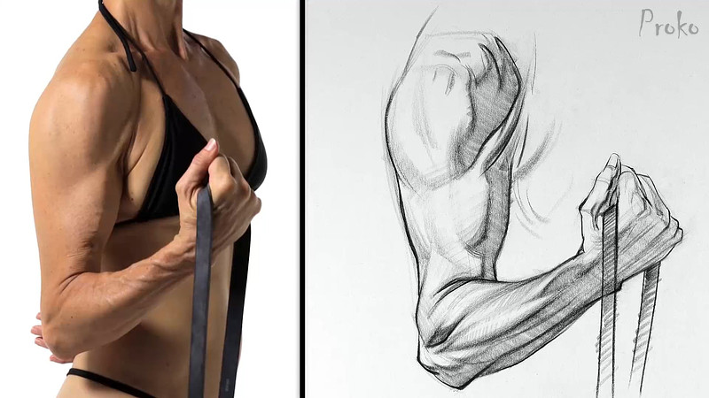 Proko - Forearm Assignment Example 2