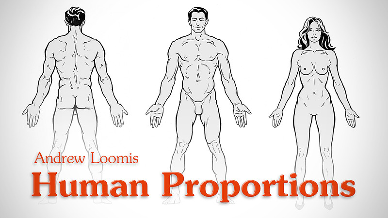 Proko - Human Proportions – Idealistic Figures