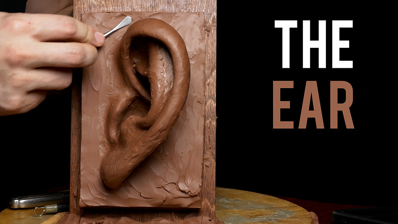 Proko - How to Sculpt the Ear