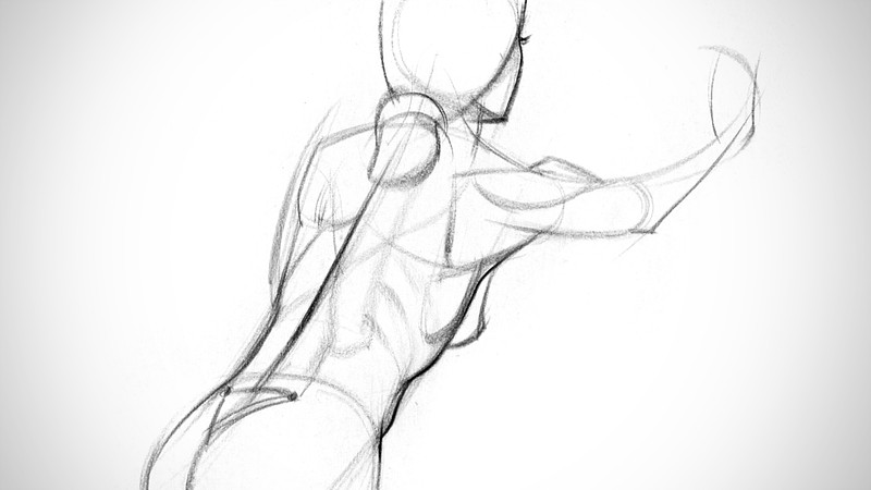 Proko - Lower Back Assignment Example 5
