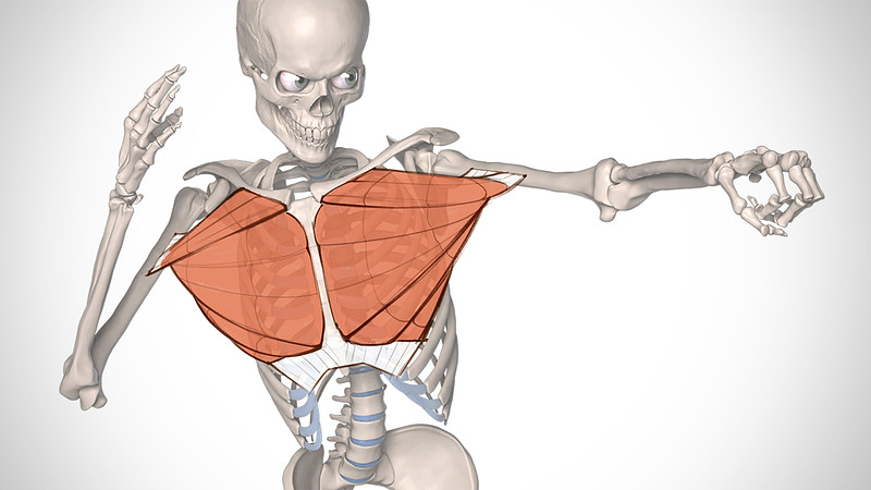 Proko - Pec Assignment Examples – Invention