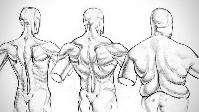 Proko - Physique Variations of the Shoulder Muscles