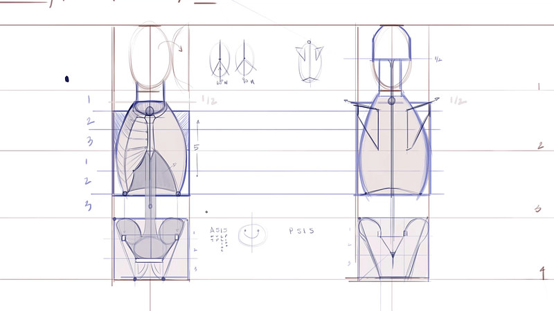 Proko Proportions And Landmarks
