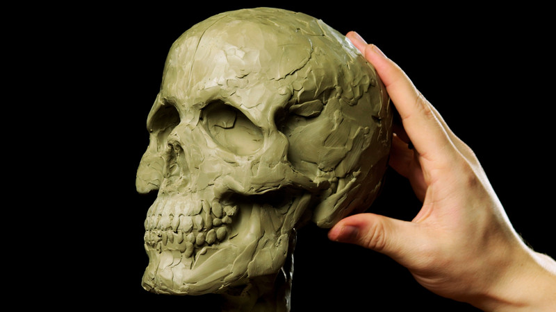 Sculpt a Realistic Skull | Part 2
