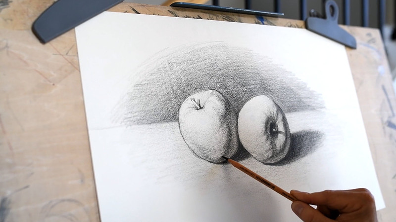 Proko Shading Natural Forms