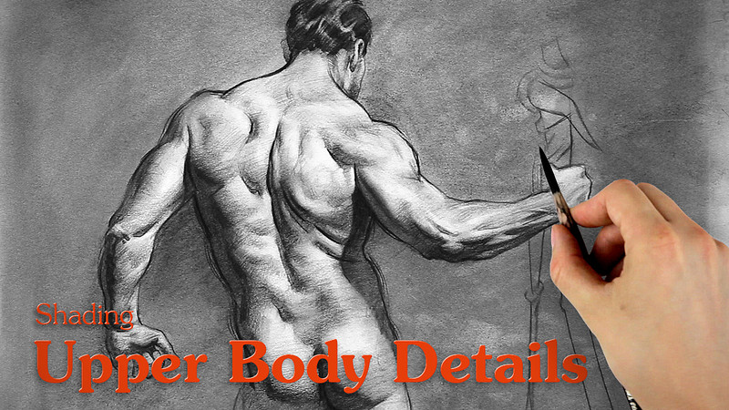 Proko - Shading – Upper Body Details
