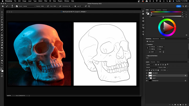 Proko - Painting a Skull