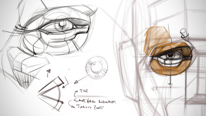 Proko - Focus on Features - The Eye