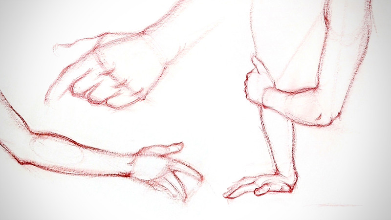 Proko - The Hands