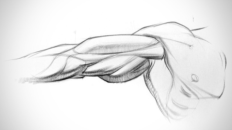 Proko - Triceps Assignment Example 4