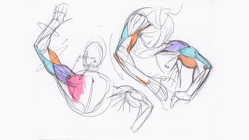 Proko - Arms From the Back