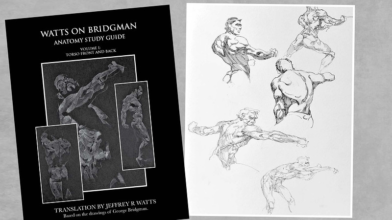 Proko - Watts on Bridgman - Volume 1